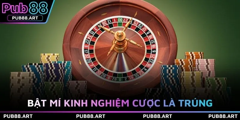 Bật mí kinh nghiệm cược là trúng