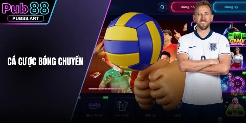 cá cược bóng chuyền,