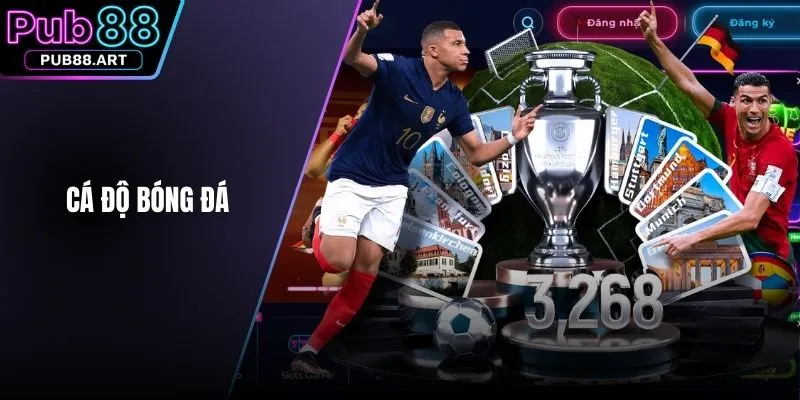 cá độ bóng đá