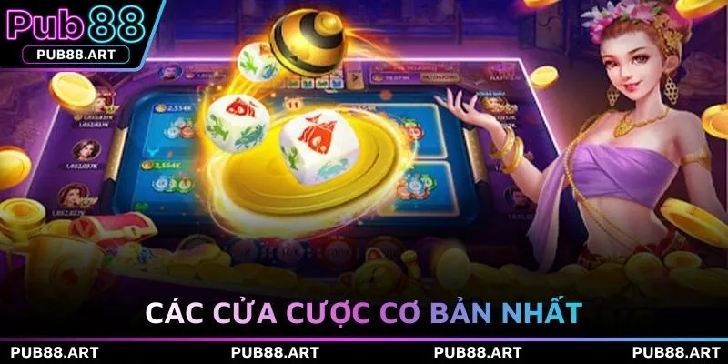 Các cửa cược cơ bản nhất 