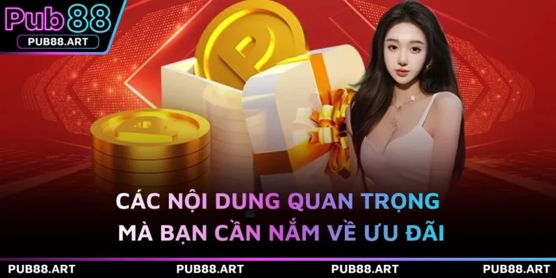 Các nội dung quan trọng mà bạn cần nắm về ưu đãi