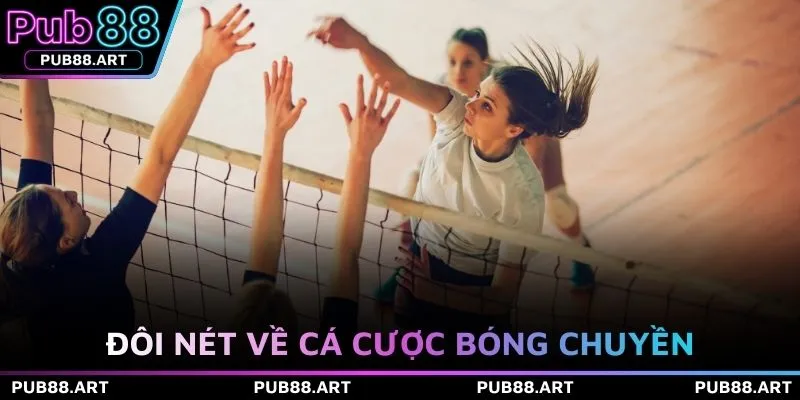 Đôi nét về cá cược bóng chuyền