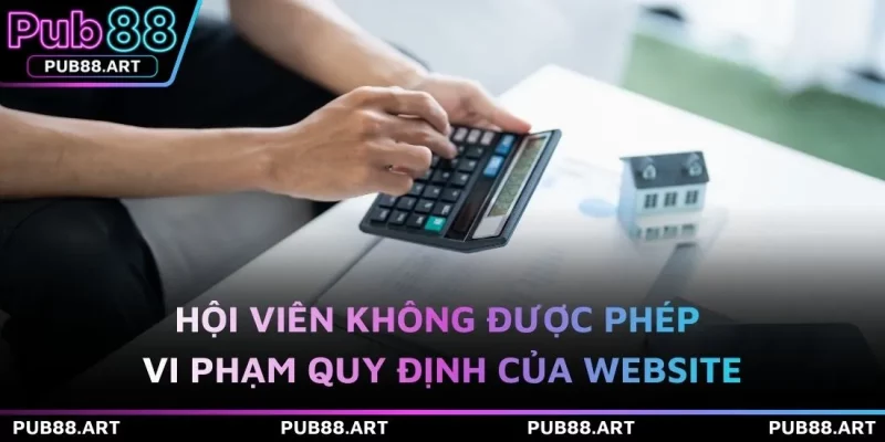 Hội viên không được phép vi phạm quy định của website