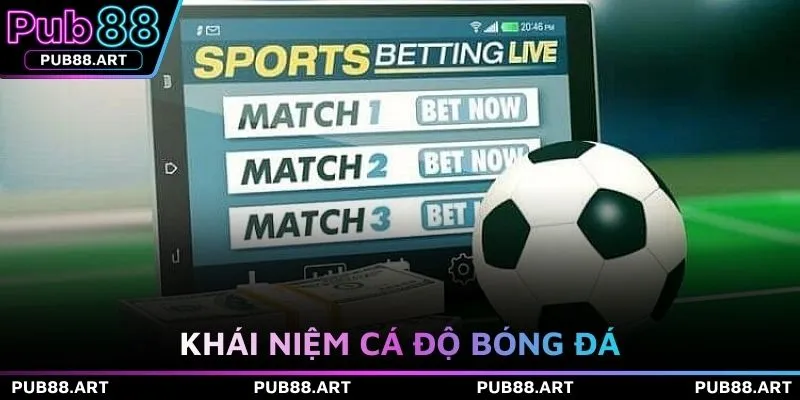 Khái niệm cá độ bóng đá