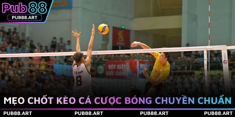 Mẹo chốt kèo cá cược bóng chuyền chuẩn