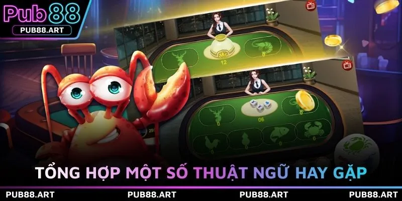 Tổng hợp một số thuật ngữ hay gặp 