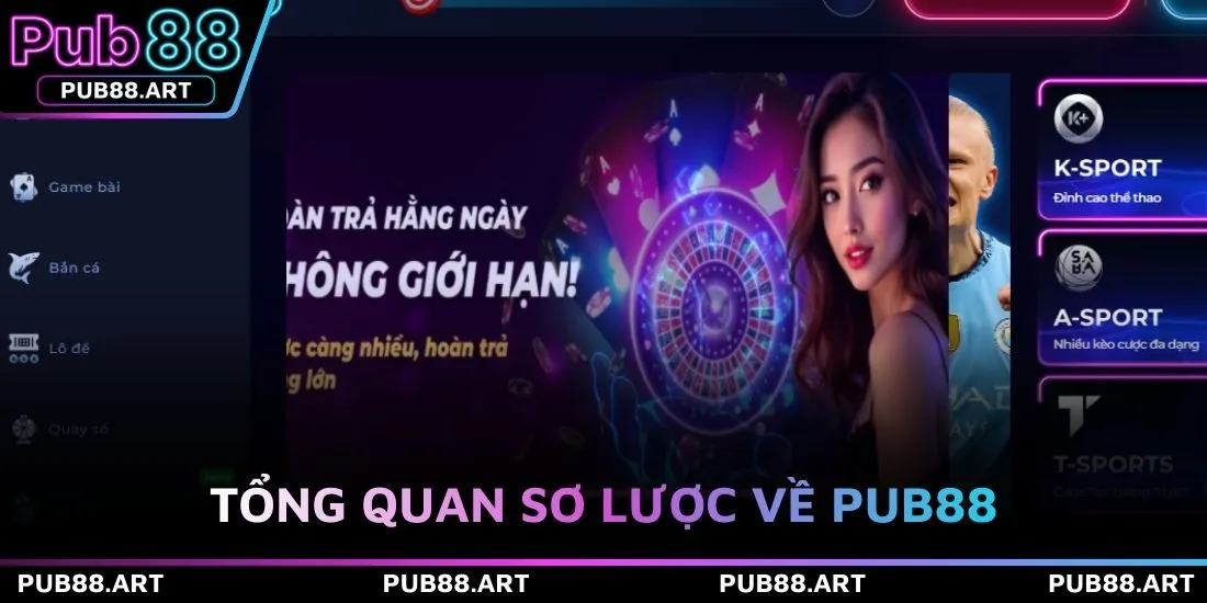 Tổng quan sơ lược về PUB88