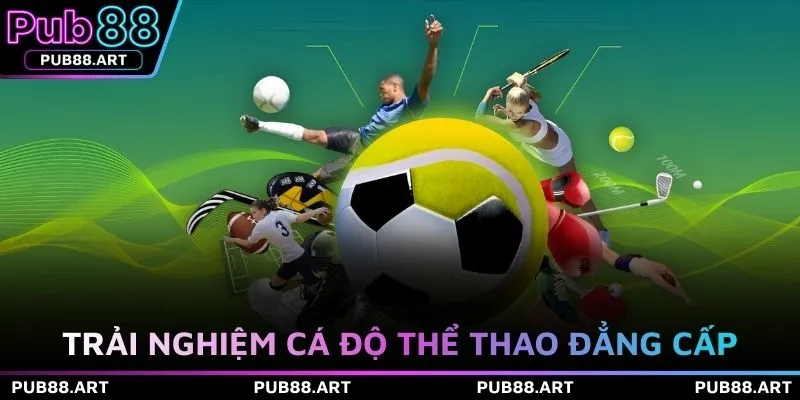 Trải nghiệm cá độ thể thao đẳng cấp