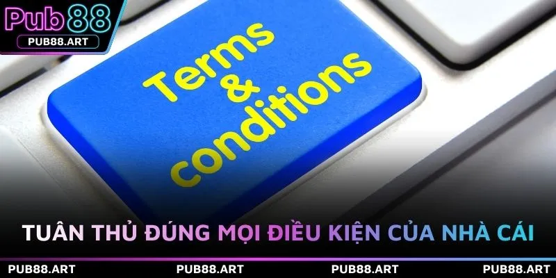 Tuân thủ đúng mọi điều kiện của nhà cái